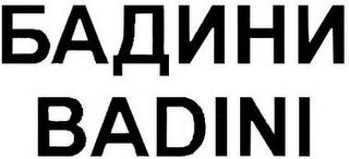 BADINI logo