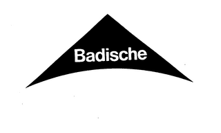 BADISCHE logo