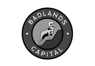 · BADLANDS CAPITAL · logo