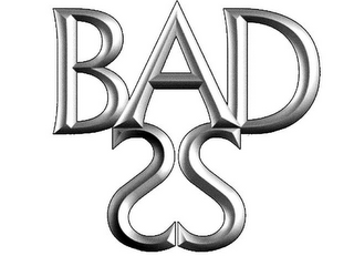 BADSS logo
