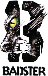 BADSTER logo