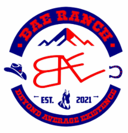 BAE RANCH BAE BEYOND AVERAGE EXISTENCE BAE EST. 2021 logo