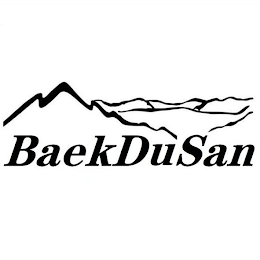 BAEKDUSAN logo