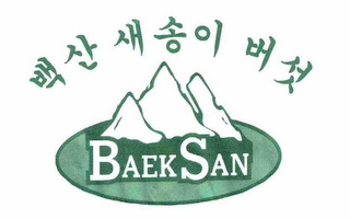 BAEKSAN logo