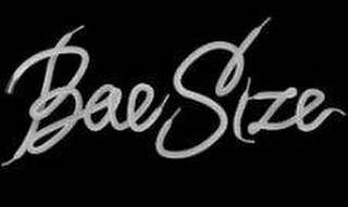 BAESIZE logo