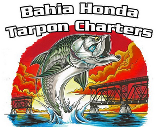 BAHIA HONDA TARPON CHARTERS logo