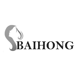 BAIHONG logo