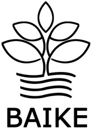 BAIKE logo