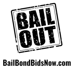 BAIL OUT BAILBONDBIDSNOW.COM logo