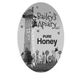 BAILEY'S APIARY LLC PURE HONEY logo