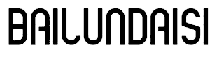 BAILUNDAISI logo