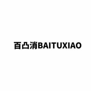 BAITUXIAO logo