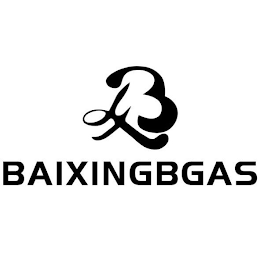 BAIXINGBGAS BX logo