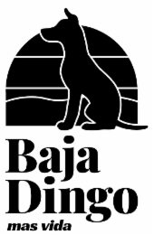 BAJA DINGO MAS VIDA logo