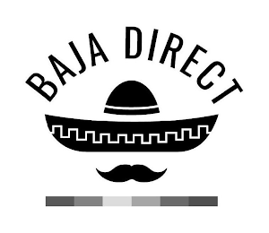 BAJA DIRECT logo