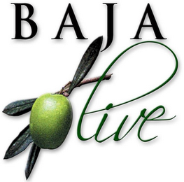 BAJA OLIVE logo