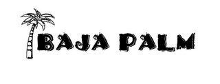 BAJA PALM logo