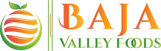 BAJA VALLEY FOODS logo