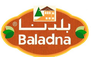 BALADNA FOODS logo