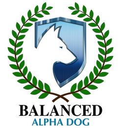 BALANCED ALPHA DOG logo