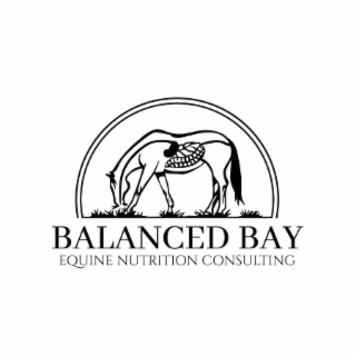 BALANCED BAY EQUINE NUTRITION CONSULTING logo