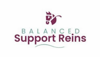 BALANCED SUPPORT REINS logo