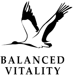 BALANCED VITALITY logo