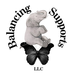 BALANCING SUPPORTS LLC logo