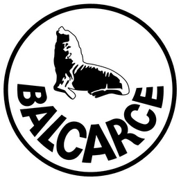 BALCARCE logo