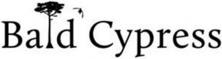 BALD CYPRESS logo