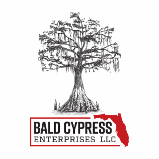 BALD CYPRESS ENTERPRISES LLC logo