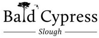 BALD CYPRESS SLOUGH logo