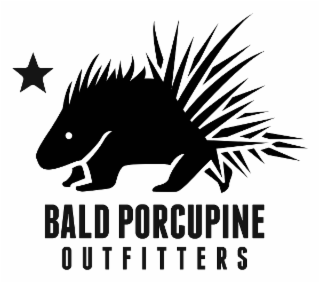 BALD PORCUPINE OUTFITTERS logo