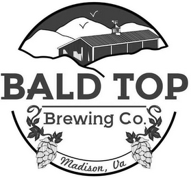 BALD TOP BREWING CO. MADISON, VA logo