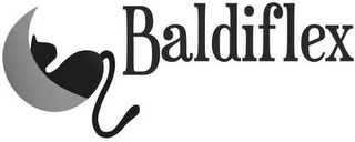 BALDIFLEX logo