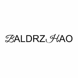 BALDRZHAO logo