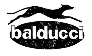 BALDUCCI logo