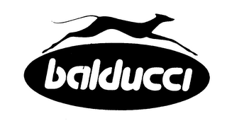 BALDUCCI logo
