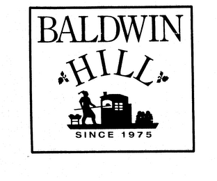 BALDWIN HILL SINCE 1975 logo
