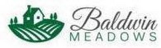 BALDWIN MEADOWS logo