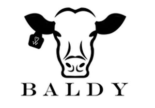 BALDY logo