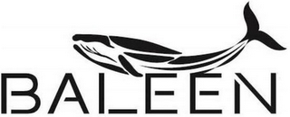 BALEEN logo