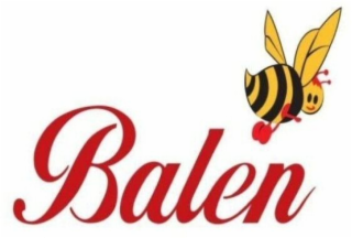 BALEN logo