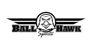 BALL HAWK SPORTS logo