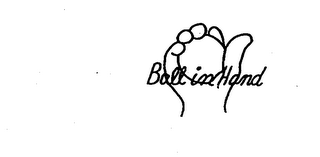 BALL IN HAND logo