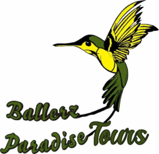BALLERZ PARADISE TOURS logo