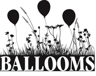 BALLOOMS logo