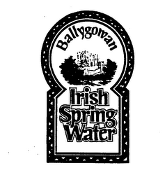 BALLYGOWAN IRISH SPRING WATER logo