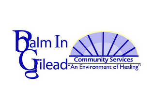 BALM IN GILEAD COMMUNITY SERVICES "AN ENVIRONMENT OF HEALING" logo