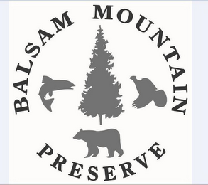 BALSAM MOUNTAIN PRESERVE logo